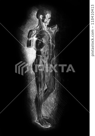 pencil drawing illustration, portrait, sketch pencil drawing illustration, portrait, sketch 118410413