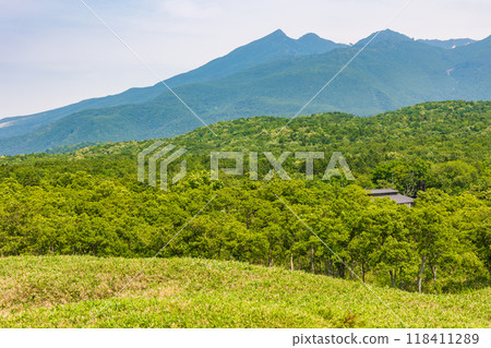 世界自然遺產：北海道知床的夏天、知床五湖 118411289