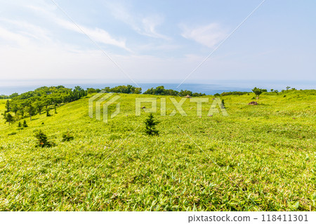世界自然遺產：北海道知床的夏天、知床五湖 118411301