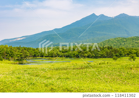 World Natural Heritage Site: Summer in Shiretoko, Hokkaido, Shiretoko Five Lakes World Natural Heritage Site: Summer in Shiretoko, Hokkaido, Shiretoko Five Lakes 118411302