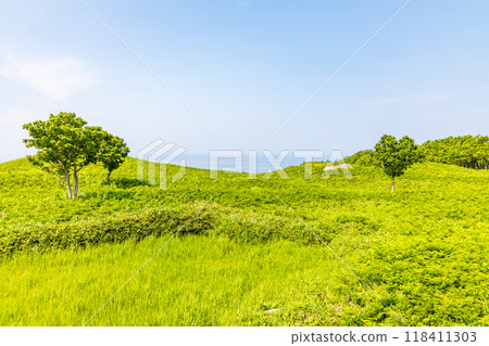World Natural Heritage Site: Summer in Shiretoko, Hokkaido, Shiretoko Five Lakes 118411303