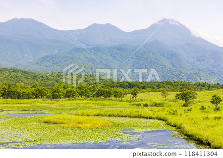 世界自然遺產：北海道知床的夏天、知床五湖 118411304