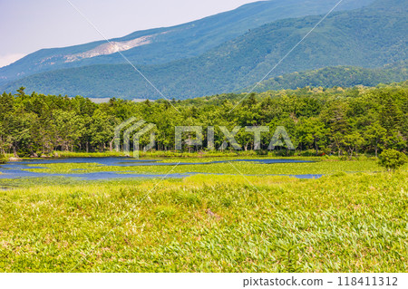 世界自然遺產：北海道知床的夏天、知床五湖 118411312