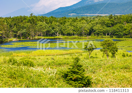 World Natural Heritage Site: Summer in Shiretoko, Hokkaido, Shiretoko Five Lakes World Natural Heritage Site: Summer in Shiretoko, Hokkaido, Shiretoko Five Lakes 118411313