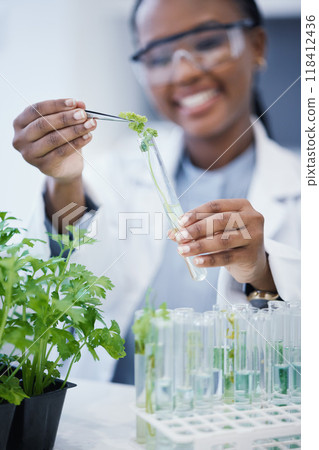 Black woman, scientist and research with plants in test tube at laboratory for analytics or innovation. Zoom, biologist and leaf in glass equipment for study at work with agriculture for environment. Black woman, scientist and research with plants in test tube at laboratory for analytics or innovation. Zoom, biologist and leaf in glass equipment for study at work with agriculture for environment. 118412436