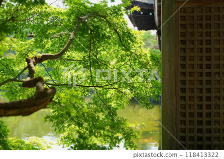 Lattice building and green leaves 118413322
