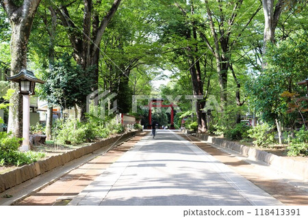 Approach to Hikawa Shrine, Omiya City, Saitama Prefecture 118413391