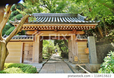深綠色的報國寺大門 深綠色的報國寺大門 118413822