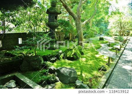 報國寺鬱鬱蔥蔥的花園 報國寺鬱鬱蔥蔥的花園 118413912