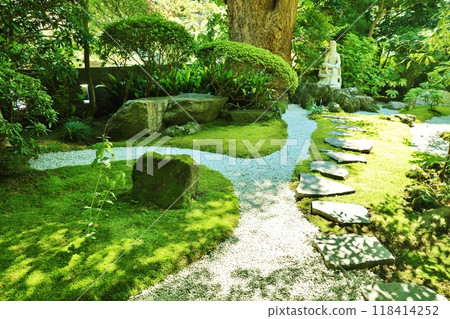 報國寺鬱鬱蔥蔥的花園 報國寺鬱鬱蔥蔥的花園 118414252