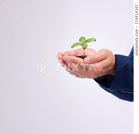 Plant in man hands for business growth isolated on white background with eco friendly investment mockup space. Sapling soil, palm and sustainable investing, sustainability or green startup in studio Plant in man hands for business growth isolated on white background with eco friendly investment mockup space. Sapling soil, palm and sustainable investing, sustainability or green startup in studio 118414342