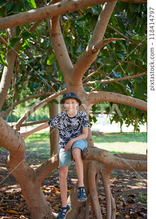 Child climbing tree in tropical forest, wearing sun hat and shorts, summer holiday activities, adventurous boy on summer vacation, enjoying nature, green foliage. 118414797