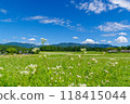 Buckwheat flowers (Kabanoko Nature Park, Sakashita, Nakatsugawa City, Gifu Prefecture) 118415044