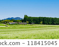 Buckwheat flowers at Kabanoko Natural Park (Banshita, Nakatsugawa City, Gifu Prefecture) 118415045