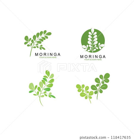 Moringa leaf illustration vector template 118417635