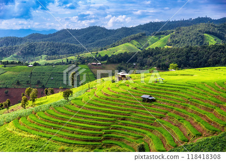 Scenery of the terraced rice fields at Ban Pa Pong Piang in Chiang Mai, Thailand. the terraced rice fields and a mountain range in the background. Scenery of the terraced rice fields at Ban Pa Pong Piang in Chiang Mai, Thailand. the terraced rice fields and a mountain range in the background. 118418308