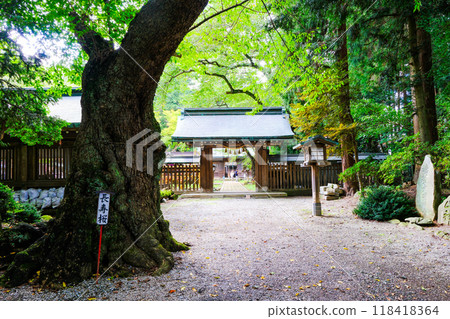 駒形神社社長佐倉壽 118418364