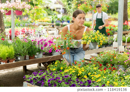 Girl choosing potted flowers calibrachoa (million bells) at flower sale at flower market sale Girl choosing potted flowers calibrachoa (million bells) at flower sale at flower market sale 118419136