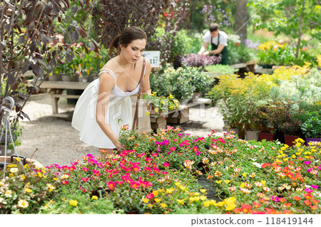 Spaniard woman examining flowers of potted portulaca in garden store Spaniard woman examining flowers of potted portulaca in garden store 118419144