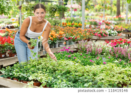 Young girl choosing potted hedera at gardening store 118419146