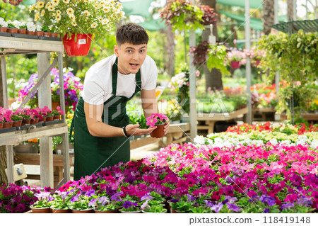 Young gardener in an apron carefully cares for petunia flowers at flower market Young gardener in an apron carefully cares for petunia flowers at flower market 118419148