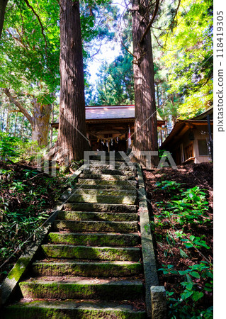戶隱神社表參道與神社建築（垂直） 118419305
