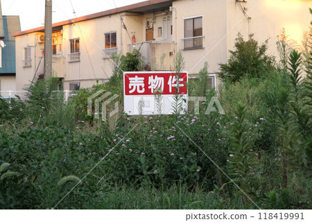 待售房產、雜草、廢棄 待售房產、雜草、廢棄 118419991