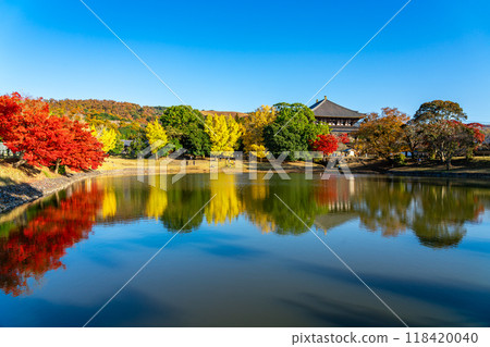 [Nara Prefecture] Vibrant autumn leaves decorate the Great Buddha Pond at Todaiji Temple 118420040