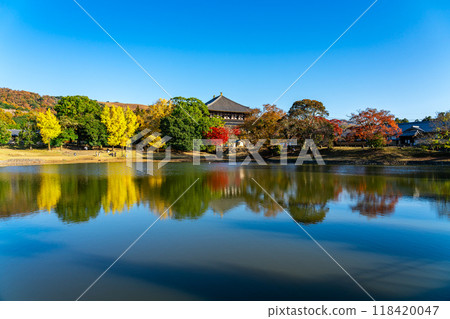[奈良縣] 東大寺大佛池的紅葉色彩繽紛 118420047