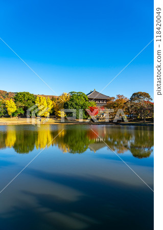[Nara Prefecture] Vibrant autumn leaves decorate the Great Buddha Pond at Todaiji Temple 118420049