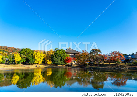 [Nara Prefecture] Vibrant autumn leaves decorate the Great Buddha Pond at Todaiji Temple 118420053