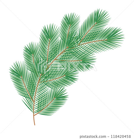 Curved Fluffy pine branch. Evergreen Christmas and New Year holiday element without decorations 118420458