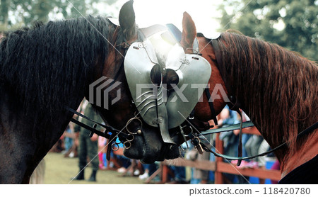 Portrait of Two war horses in armor Portrait of Two war horses in armor 118420780