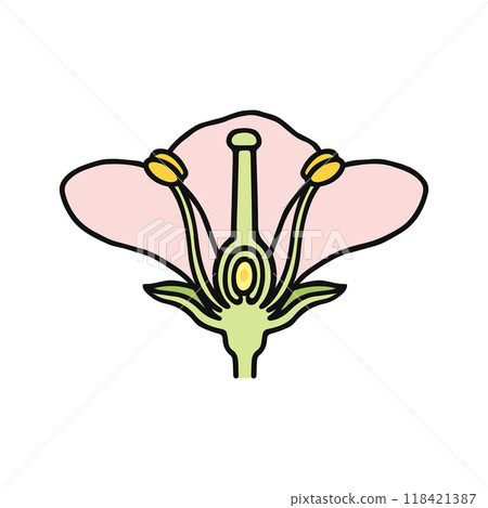 How flowers are made How flowers are made 118421387