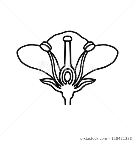 花藝線描 118421388