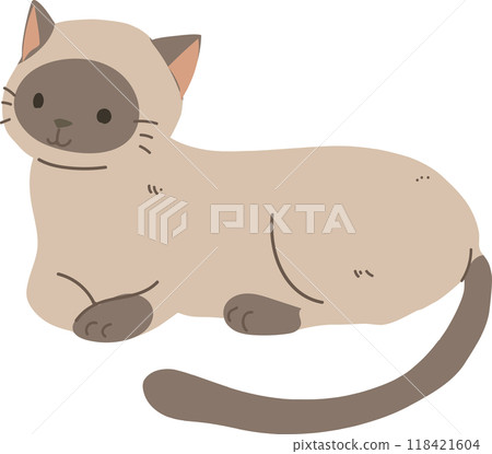 charming cartoon illustrations and kawaii Siamese cat character in a playful sitting and laying position. pet lovers. cute kitten sitting 118421604