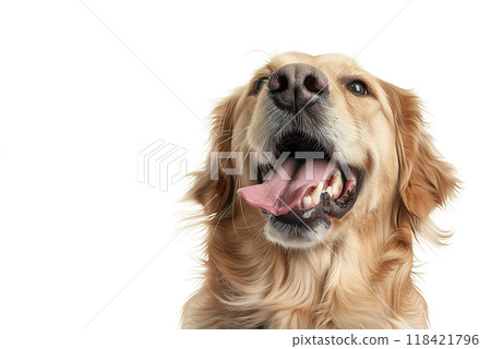 Photorealistic close-up of an excited dog with tongue out, ears perked, and expressive eyes. Perfect for pet-related projects or joyful animal themes. Pet. 118421796