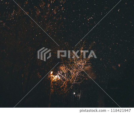 Heavy snowfall on a night, trees lit by lights, darkness, night road 118421947