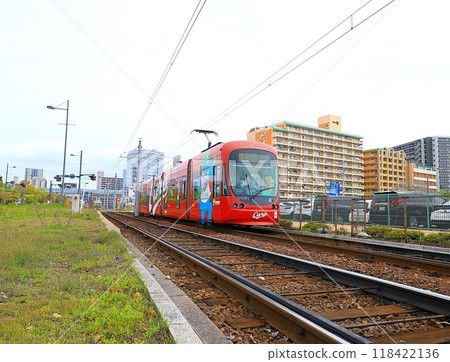 Carp train Carp train 118422136