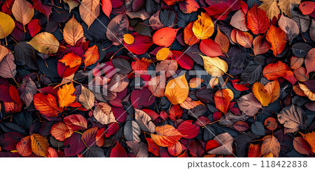 Autumn maple leaves brown, red, yellow background wallpaper backdrop. Sepia tones, copy space, fall, leaf composition, bright colors 118422838