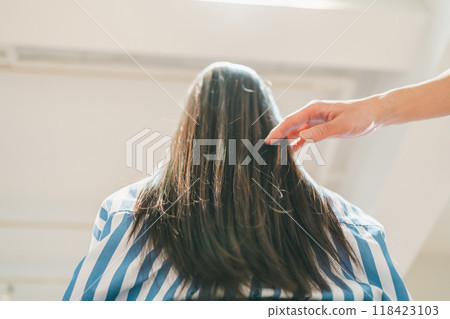 Back view of a young woman with long hair visiting a beauty salon Back view of a young woman with long hair visiting a beauty salon 118423103