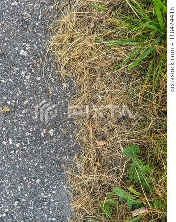 Close-up of the transition between a paved road and dry yellow grass . High quality photo 118424418
