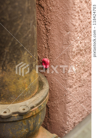 used pink gum stuck to light pink wall on street . High quality photo used pink gum stuck to light pink wall on street . High quality photo 118424703