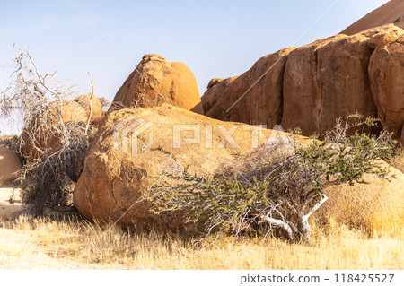 Landscape near Spitzkoppe 118425527