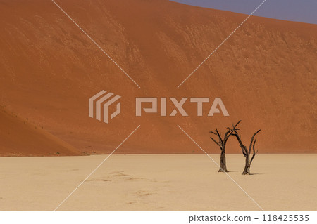 Dead Trees in Deadvlei 118425535