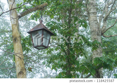 Lamp in the forest 118425587
