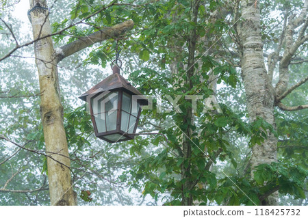 Lamp in the forest 118425732