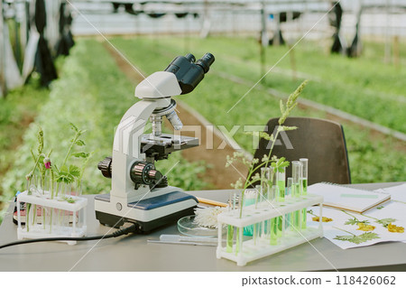 Microscope on laboratory table surrounded by plants and test tubes in modern greenhouse environment showcasing scientific research and study of flora for agricultural advancements 118426062
