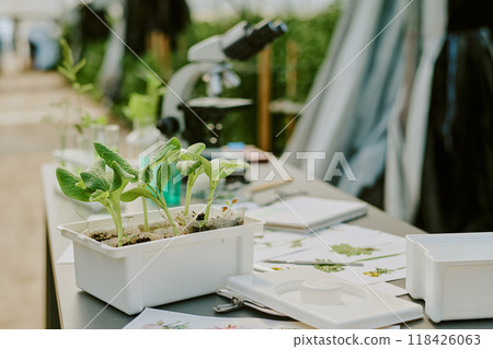 Researching plant growth in modern agricultural lab with various scientific equipment present and seedlings in container on lab bench and documents scattered around the workspace Researching plant growth in modern agricultural lab with various scientific equipment present and seedlings in container on lab bench and documents scattered around the workspace 118426063