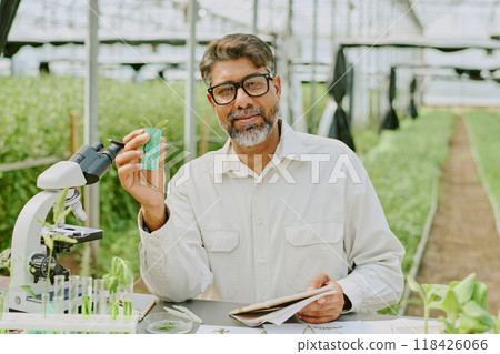 Researcher in greenhouse setting examining plant samples with microscope and tools, holding leaf in one hand and clipboard in other, surrounded by lab equipment and greenery 118426066